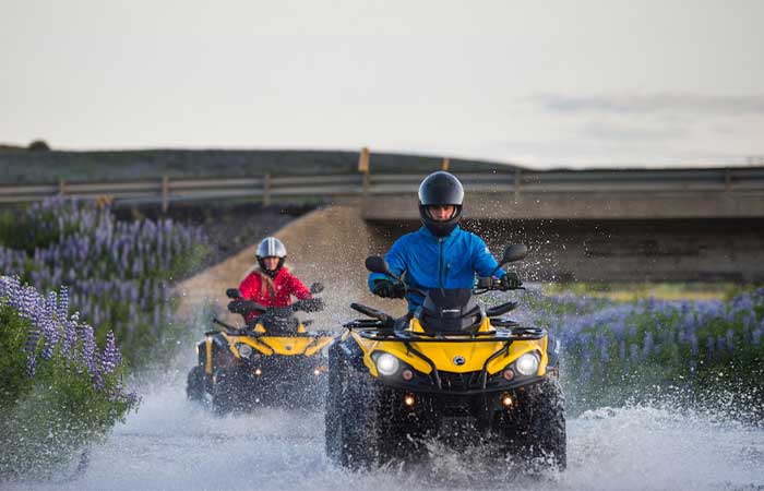 Safari en quad